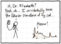 cartoon fourier cat