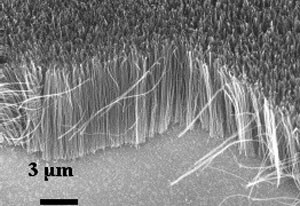 nanotubes