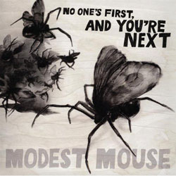 Satellite Skin Modest Mouse