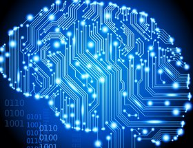 human brain